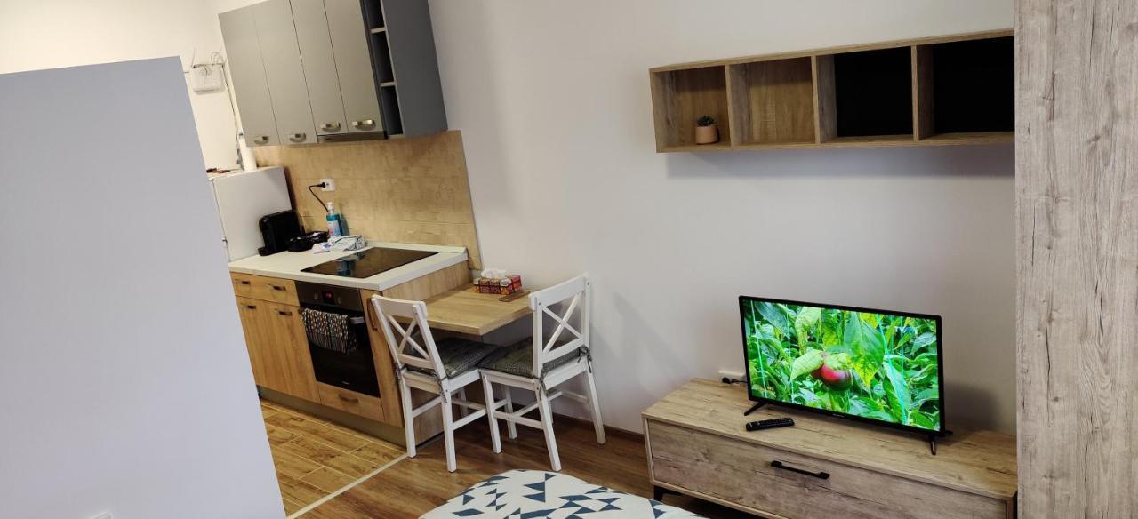 Marius Studio Брашов Екстер'єр фото